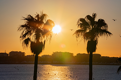 A prestigious brand universe