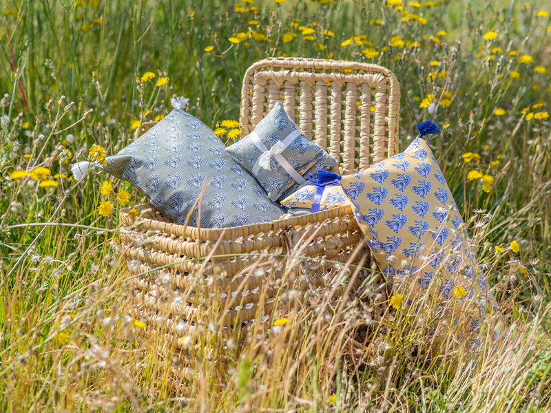 Provence x Elsa Lenthal